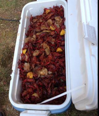 Crawfish Boil Fundraiser